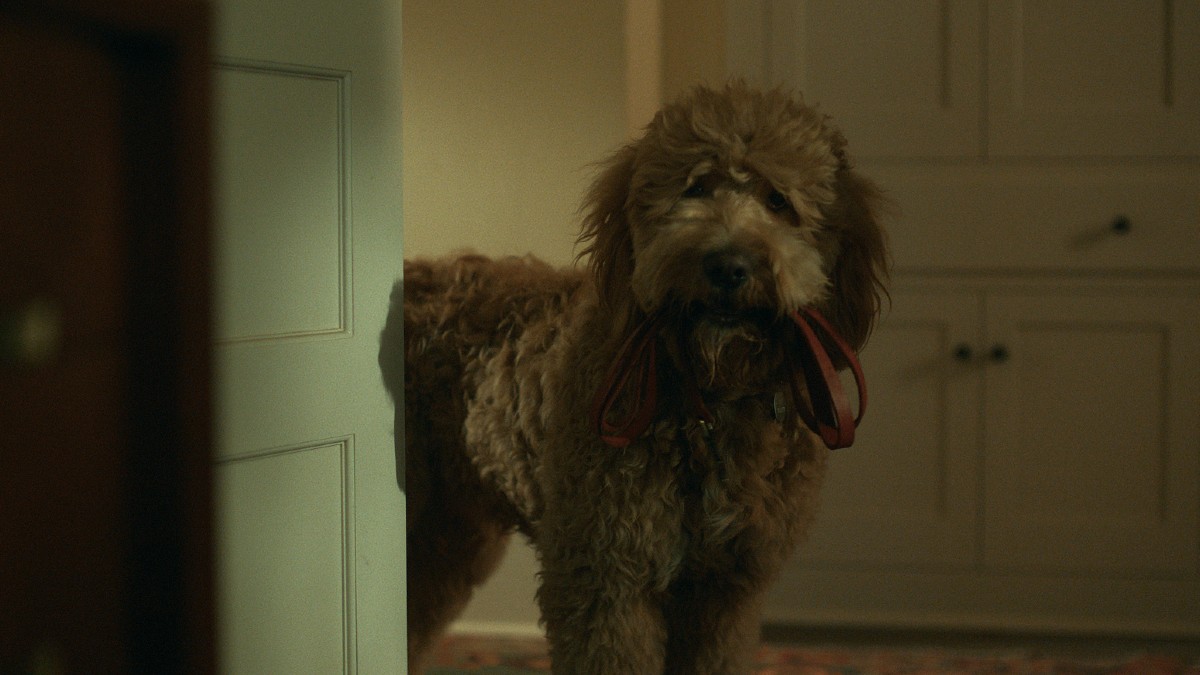 Les leçons de chimie laissent six à trente fans dans la niche