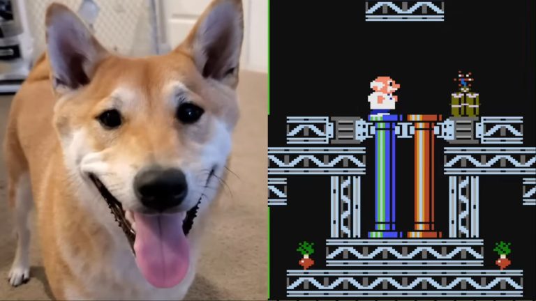 Un chien nommé Peanut Butter vient de battre un jeu de puzzle obscur sur NES