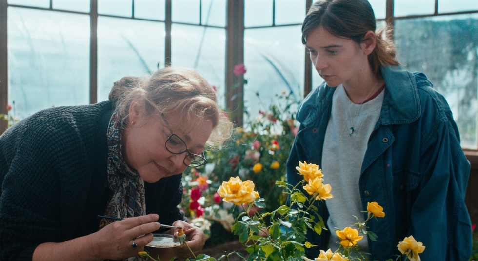 La Dame aux Roses est une production française réalisée par Pierre Pinaud qui a débuté en 2020 : voici l'intrigue, le casting et les curiosités du film avec Catherine Frot.