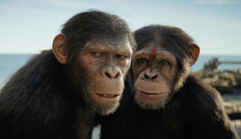 Du Secret du Liberato au Royaume de la planète des singes, 5 films au cinéma cette semaine