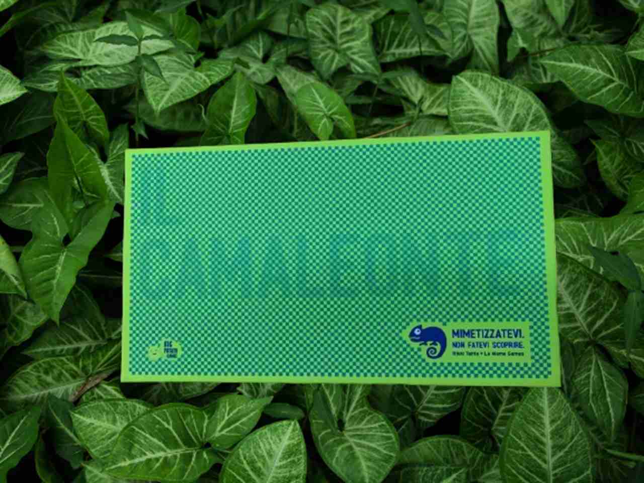 Revue du jeu de société Chameleon : caché à la vue de tous