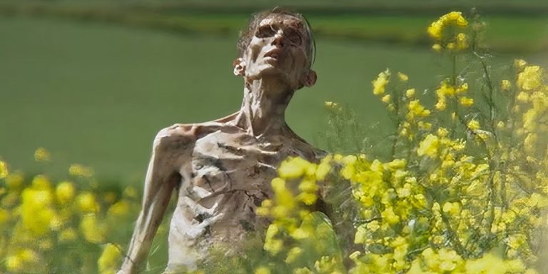 28 ans plus tard Review: Danny Boyle et Alex Garland deviennent médiévaux