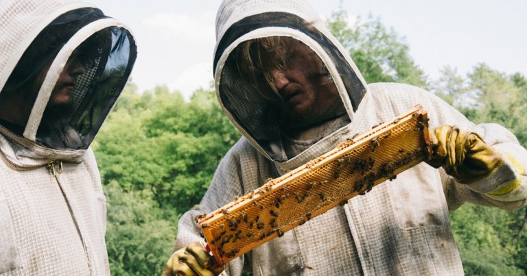 La fin de Bugonia expliquée
