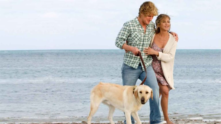 Les 15 films qui nous font le plus pleurer