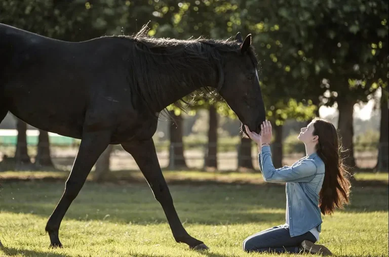 Black Beauty Review : le film Disney+ se penche sur les tropes de Horse Girl
