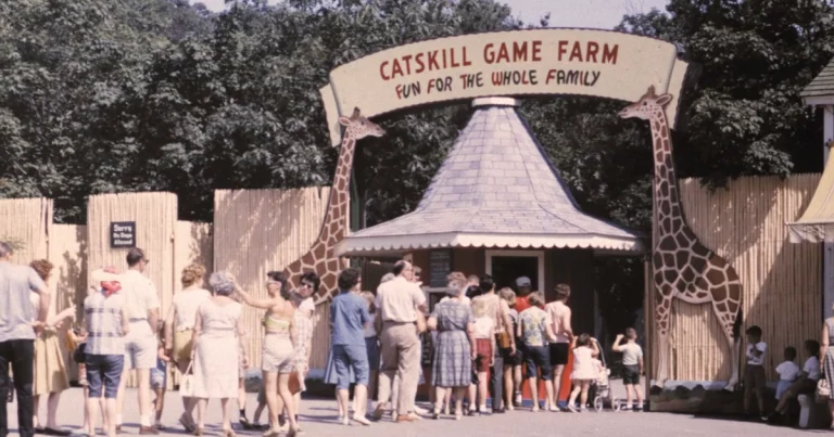 Un nouveau documentaire American Zoo relie la nostalgie et l’incroyable 

